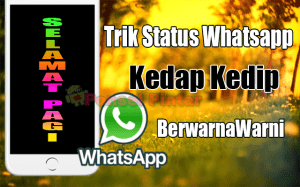 Cara Membuat Status Whatsapp Kedap Kedip