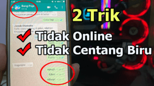 2 Cara WhatsApp Tidak Terlihat Online + Tidak Centang Biru