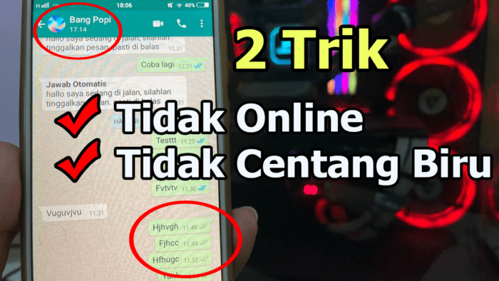 2 Cara WhatsApp Tidak Terlihat Online + Tidak Centang Biru