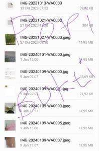 Cara Melihat Pesan Foto Yang Telah Lama Dihapus Doi di Whatsapp