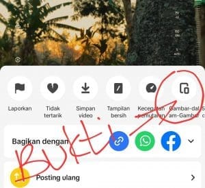 Cara Nonton Video TikTok Sambil Chat di Whatsapp