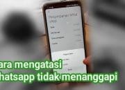 5 Alasan Mengapa “WhatsApp Tidak Menanggapi” dan Ini Solusinya