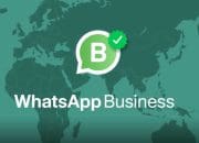 Berguna Untuk Bisnismu, Begini Cara Mendapatkan Centang Hijau di WhatsApp Bisnis
