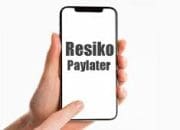 Waspada PayLater Dengan Beban Resikonya