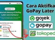 Kabar Gembira Gopaylater Bisa Digunakan Di Tokopedia