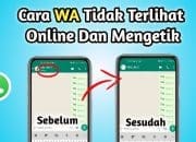 Cara Agar Whatsapp Tidak Terlihat Online Dan Mengetik
