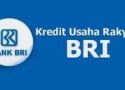 Ubah Limit Pinjaman di Bank BRI Supaya Lebih Banyak