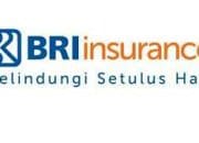 Hobi Traveling! Jangan Khawatir dengan Asuransi dari Bank BRI