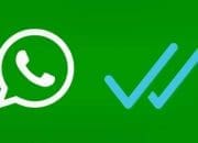 Privasi Makin Terjaga! Begini Cara Sembunyikan Last Seen, Online dan Centang Biru di WhatsApp