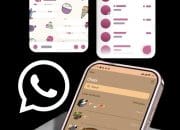 Cara Mengubah Tampilan WhatsApp menjadi Aesthetic
