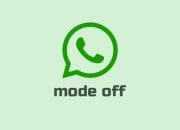 Nggak Perlu Uninstall, Begini Cara Nonaktifkan WhatsApp Sementara