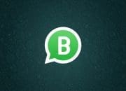 Mau Tau Rahasia Iklan WhatsApp yang Sukses? Simak 5 Tips Ini