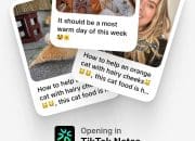 Baru Diluncurkan, Inilah 4 Kelebihan TikTok Notes, Saingan Baru Instagram