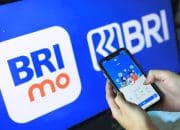 Cara Mudah  Bayar Belanja Online Lebaran Dengan Briva di BRImo