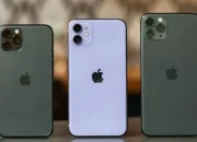 Ikuti Tips Ini Biar Hasil Foto Ciamik Saat Gunakan  Kamera Ultra Wide di iPhone