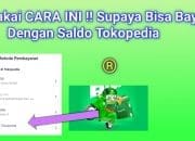 Saldo Tokopedia Bermasalah? Ini Solusi Cepat Atasinya!