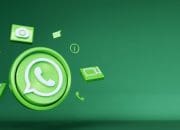 5 Alasan Kenapa WhatsApp Tidak Bisa Mengunduh Gambar