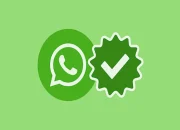 Tips Sukses Mendapatkan Centang Hijau WhatsApp dalam Waktu Singkat