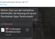 Kena WhatsApp Tipu-Tipu? Ini Cara Laporkan Modus Penipuan
