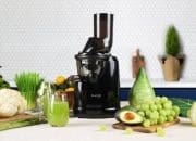 3 Rekomendasi Slow Juicer Terbaik! Rasakan Nikmatnya Jus Segar Penuh Nutrisi