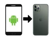 Ganti HP Dari iPhone ke Android? Ini 2 Tips Pindah Kontak Dari Android Ke iPhone!