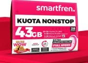 3 Cara Memeriksa Pulsa Kuota dan Nomor Smartfren