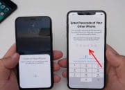 Langkah Mudah Transfer Data dari iPhone Lama ke iPhone Baru