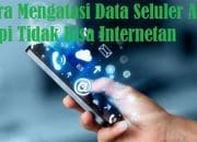 Berikut Solusi Mudah Data Seluler Aktif Tapi Ponsel Tak Tersambung Internet