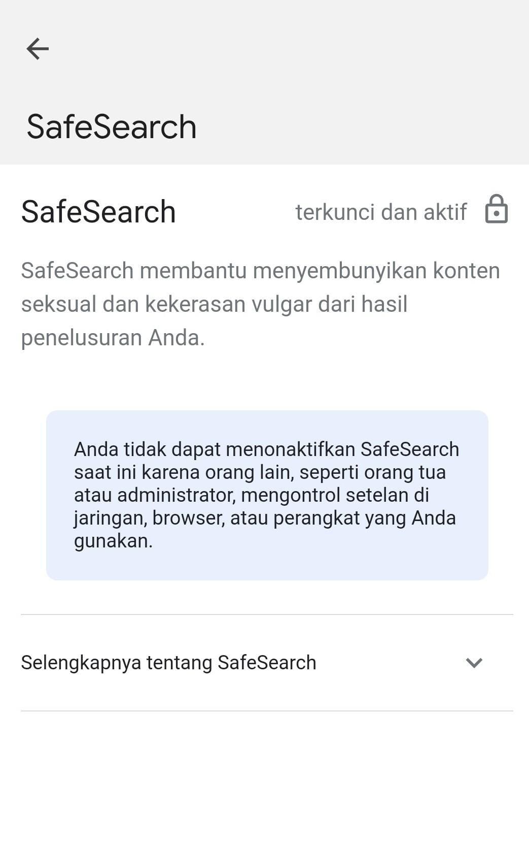 Cara Mematikan Safe Search dengan Mudah dan Efektif