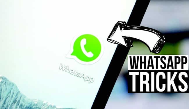 Hidden Tips WhatsApp! Icon Gak Ada Pasti Kamu Gak Tau