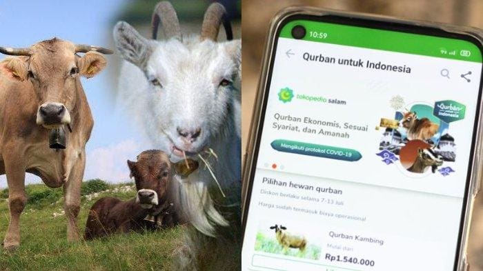 4 Aplikasi Kurban Online Terpercaya yang Bisa Kamu Pilih untuk Melakukan Kurban