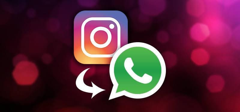 Tutorial Berbagi Video Instagram Ke Whatsapp Dengan Mudah