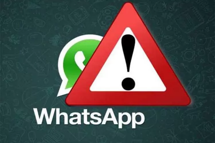 3 Gangguan Pada Aplikasi Whatsapp Dan Solusi Mengatasinya!