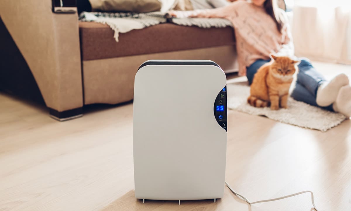 13 Dehumidifier Terbaik 2026: Udara Segar, Sehat Tanpa Jamur & Alergi