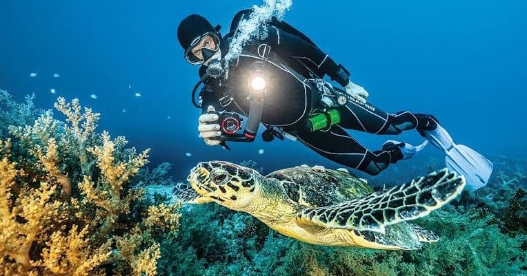 10 Alat Fotografi Bawah Air yang Harus Kamu Punya, Penting Banget!