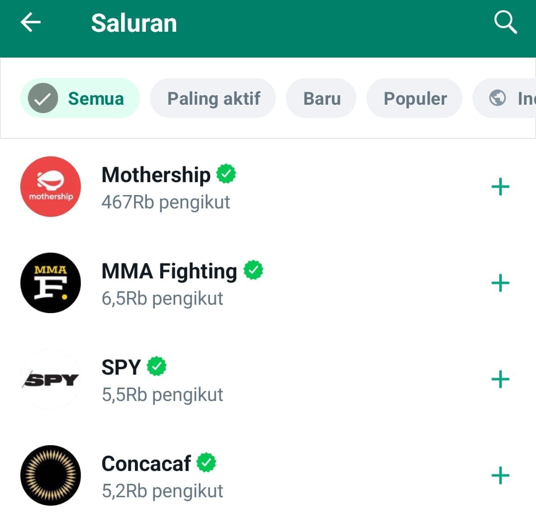 Ingin Bercerita Dan Membagikan Hal Bermanfaat? Bikin Channel WhatsApp Saja!