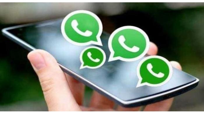 7 Tips dan Trik Fitur WhatsApp yang Jarang Diketahui