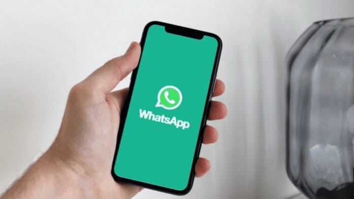 Cara Mengunduh File yang Terhapus di WhatsApp