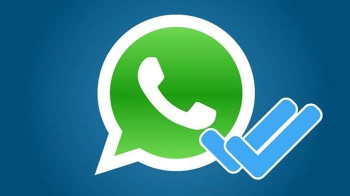 Centang Biru Dimatikan di WhatsApp?  Begini Cara Tahu Pesan yang Dikirim Telah Dibaca