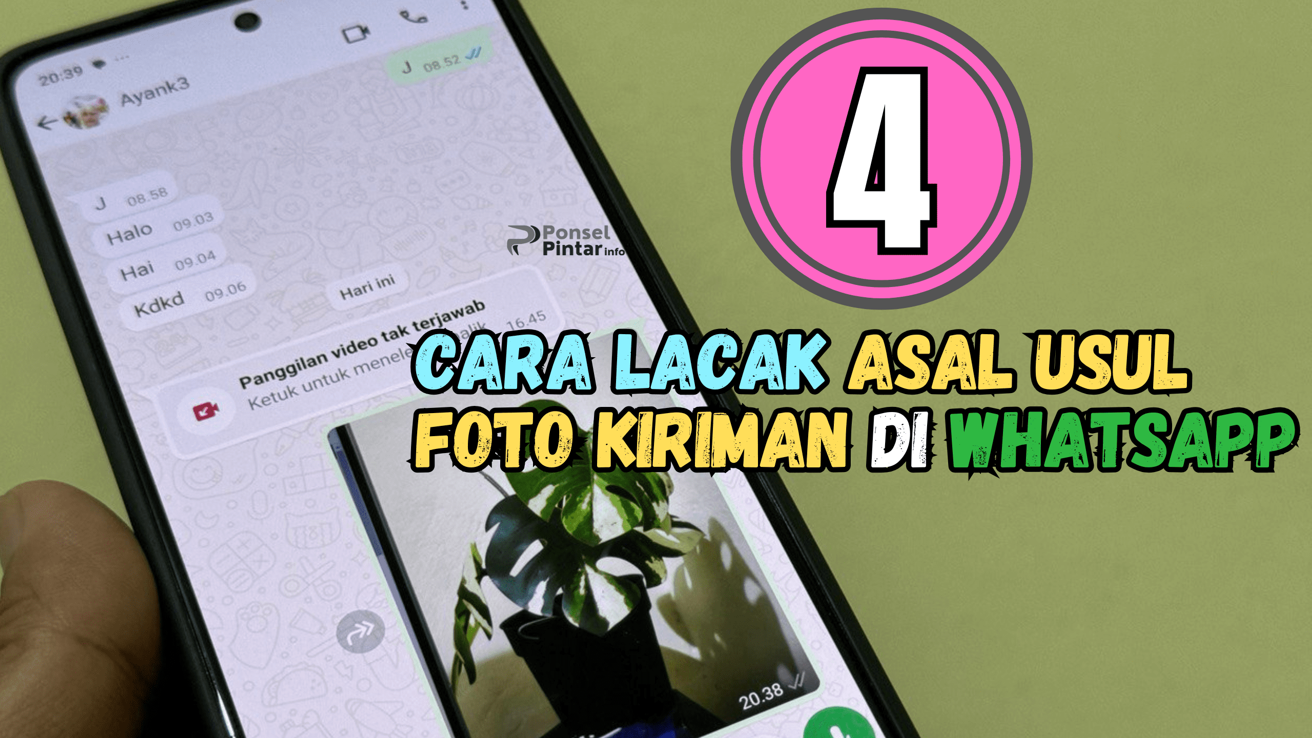 4 Cara Melacak Asal Usul Foto Kiriman di Whatsapp