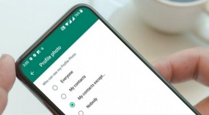 Rahasia Terbongkar! Begini Cara Melihat Status WA yang Diprivasi dengan Mudah