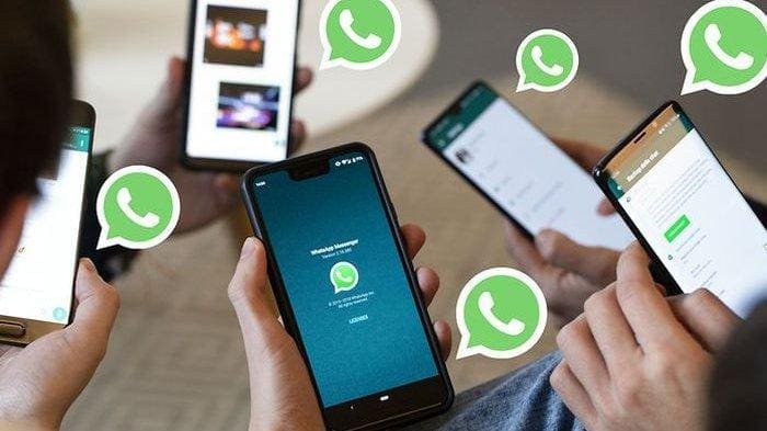 8 Tanda WhatsApp Kamu Diblokir Diam-Diam, Jangan Kelamaan Bingung!