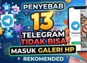 13 Penyebab Telegram Tidak Bisa Masuk Galeri HP