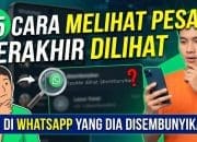 15 Cara Melihat Last seen WA yang disembunyikan