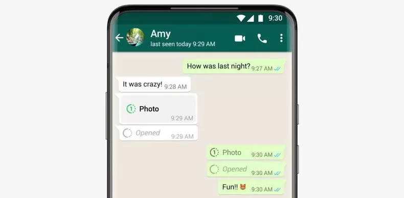 3 Cara Menyimpan File Sekali Lihat di WhatsApp dengan Mudah