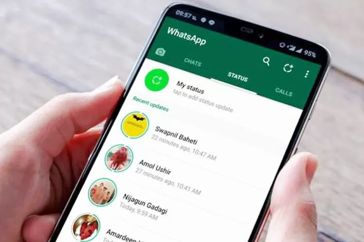 Begini Cara Unduh Status WhatsApp Tanpa Aplikasi