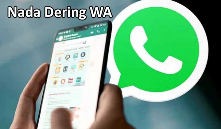 Biar Nggak Monoton! Ini Cara Atur Nada Dering WhatsApp Berbeda Tiap Kontak