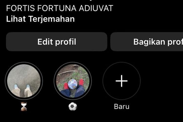 Apa Arti “Fortis Fortuna Adiuvat” yang Ada di Bio TikTok dan Instagram? Yuk Cari Tahu
