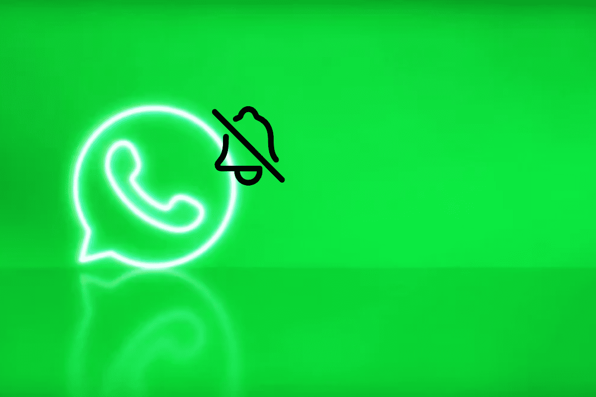 5 Tips Mengatasi Suara Notifikasi Whatsapp Yang Tidak Berbunyi