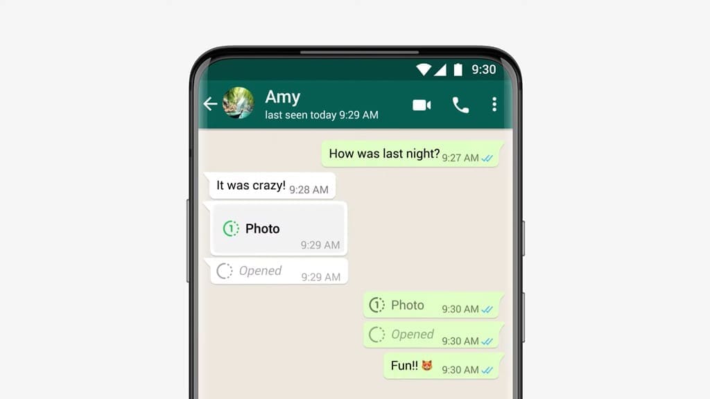 Fitur Rahasia WhatsApp! Kirim Foto dan Video Sekali Lihat, Langsung Hilang